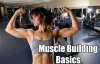 muscle-building-basics-700x450.jpg